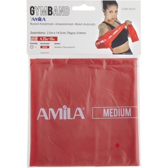 AMILA GYMBAND medium red Accessories