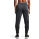 UNDER ARMOUR RIVAL TERRY TAPED PANTS (grey) W APPAREL